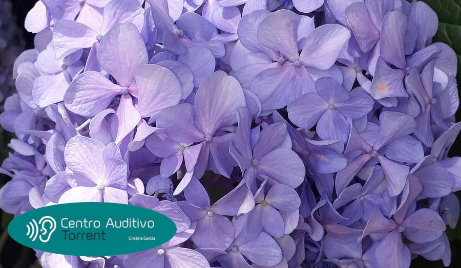 Efectos negativos de la primavera en tus oídos